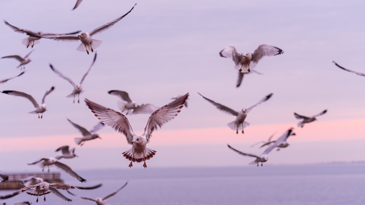 Photo: Samantha Kennedy, Unsplash.