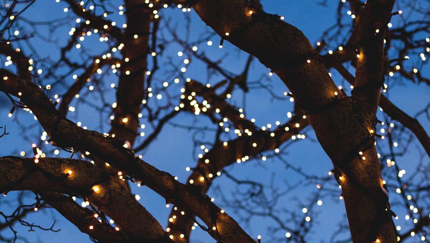 Photo by Fred Heap from unsplash.com.