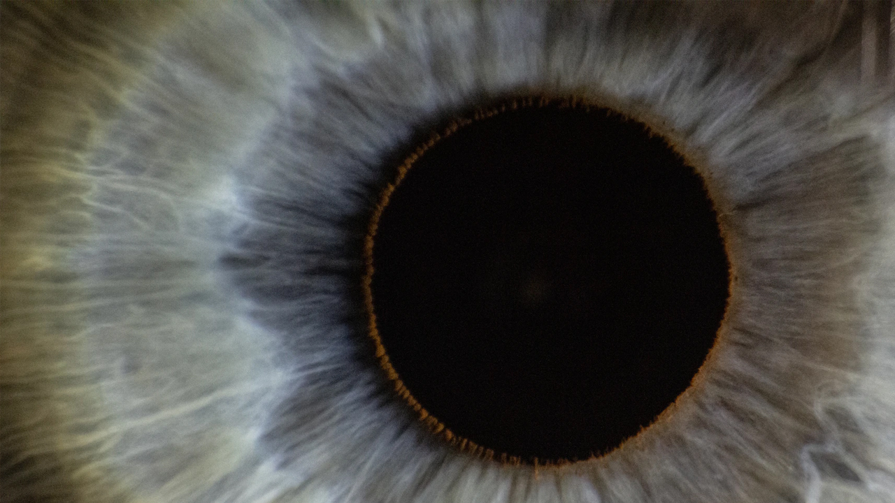 Photo: Artyom Korshunov, Unsplash.