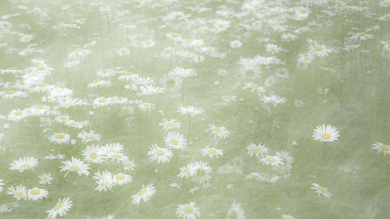 Photo: He Zhu, Unsplash.