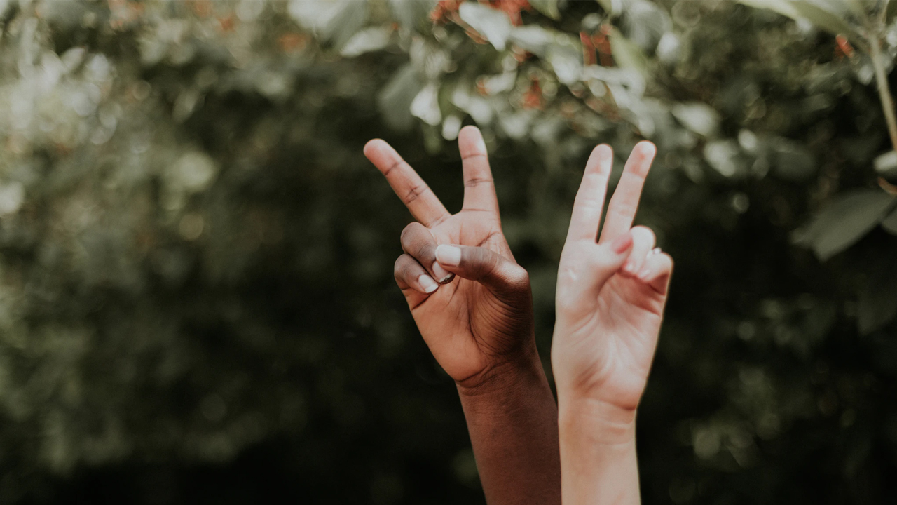 Photo: Priscilla Du Preez, Unsplash.