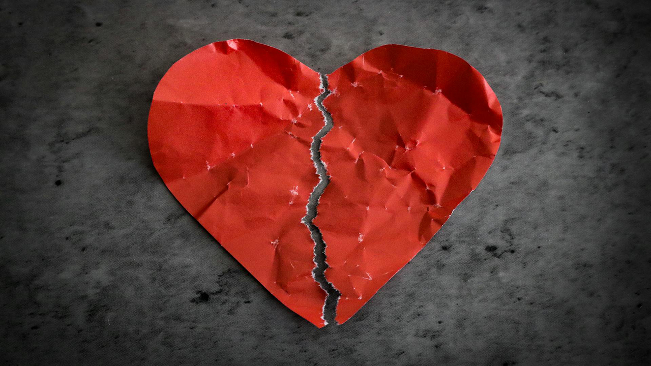 Marta Nogueira/Pexels