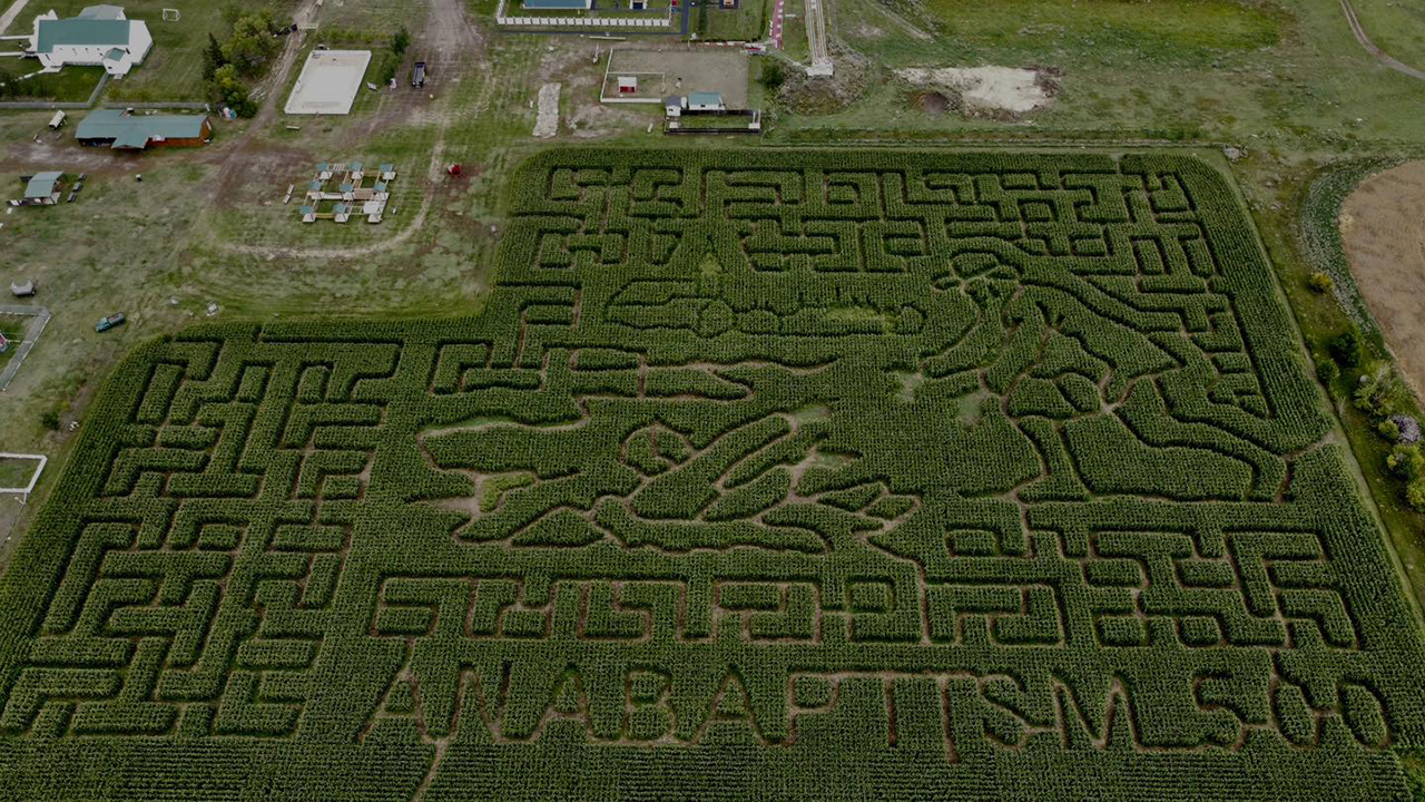 Canadian corn maze celebrates martyr, 500 years of Anabaptism