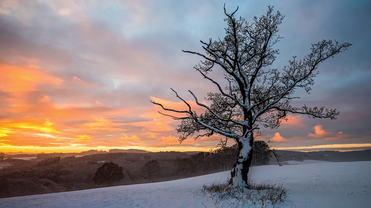 Dawn in winter. — Dmitry Demkin/Shutterstock